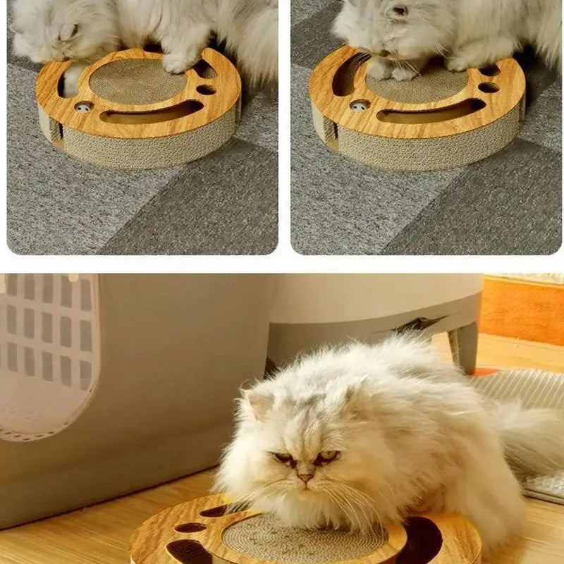 Hign-Concerned Cat Scratching Round Board Corrugated Kitten