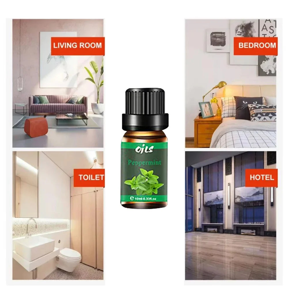 Hign-concerned SixPiece AromatherapyOilSetAllNaturalFragrances HomeOffice forHomeUse