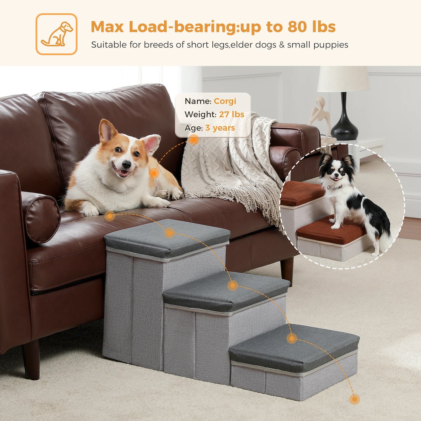 PAWZ Road Foldable Dog Stairs With Storage Ramp Indoor